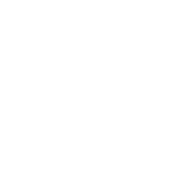 Logo Freunde v. St. Stephanus weiß